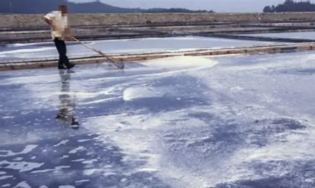 新安の塩田主を労働搾取・賃金未払いなどで拘束…「10年間無給で強制労働」＝韓国