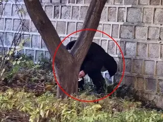 Orang asing bikin onar... Kali ini, "lari setengah telanjang" di Gwanghwamun = Korea Selatan