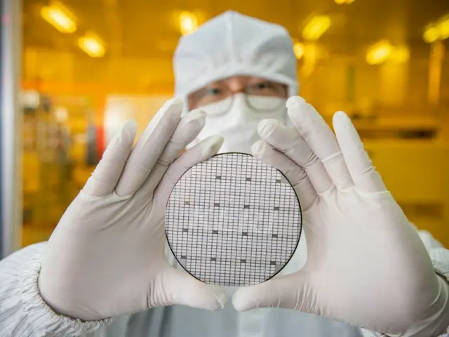 半導体を除けば輸出は「マイナス成長」…「体質改善」が性急=韓国メディアのコラム