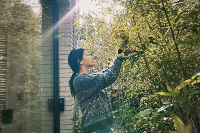 イ・ヨンエ、「清楚＋美しさ」の擬人化…穏やかなクリスマスツリー作りで爆笑？