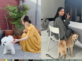 Aktris Song Hye Kyo bertemu Um Jung Hwa saat sedang berjalan-jalan dengan anjingnya...Anjing-anjing itu juga saling menyapa dengan ramah