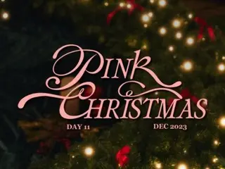"A Pink" merilis lagu musiman "PINK CHRISTMAS" pada 11 Desember
