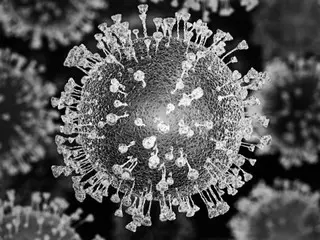 Tiongkok juga khawatir dengan kebangkitan kembali virus corona baru: ``peningkatan JN.1'' = laporan Korea Selatan