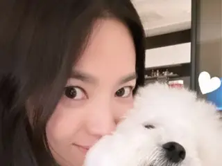 Aktris Song Hye Kyo memiliki wajah seukuran anak anjing... dewi kemurnian alami