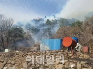 Kebakaran hutan di Kota Suncheon, Provinsi Jeollanam... padam hanya dalam waktu 2 jam