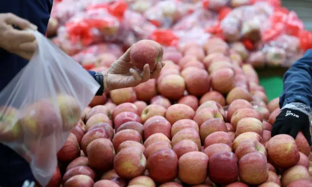 りんご小売価格、一週間で11％下がったが、卸売価格は高止まり＝韓国