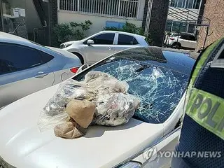 ``Balon kotoran'' Korea Utara menyebabkan diskusi mengenai tindakan bantuan kerusakan seperti kerusakan pada mobil penumpang = pemerintah Korea Selatan
