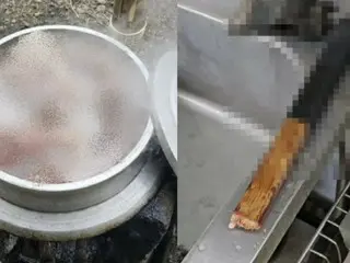 Pria berusia 60-an tahun dituduh membunuh anjingnya "untuk makan poshintang (sup daging anjing)" = Korea Selatan