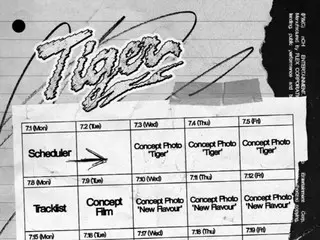 "n.SSign" akan comeback pada tanggal 18...Album kemasan ulang "Tiger" dirilis
