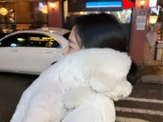 Aktris Song Hye Kyo berjalan keliling kota sambil menggendong anjing kesayangannya... Dia tidak bisa menyembunyikan garis hidung mulusnya