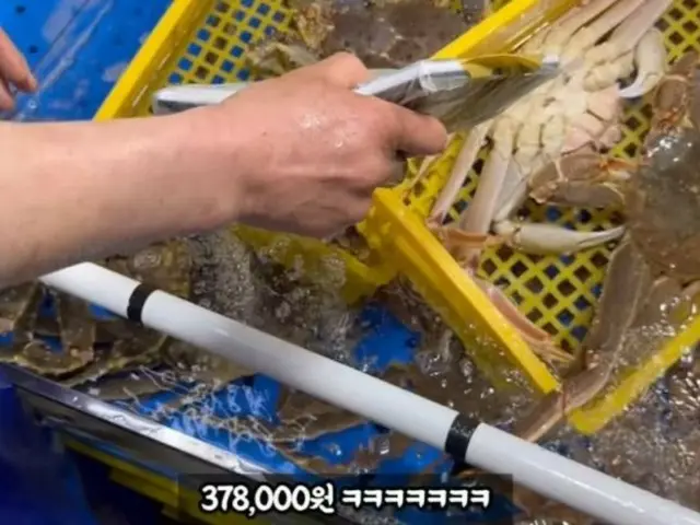 Pasar ikan di mana kontroversi muncul mengenai penipuan... 61 timbangan dengan bobot besar ditampilkan = Korea Selatan