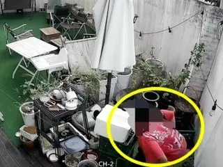 'Saya tidak percaya dengan mata saya'...Pria yang tampaknya orang Tionghoa buang air besar di teras kafe = Korea Selatan