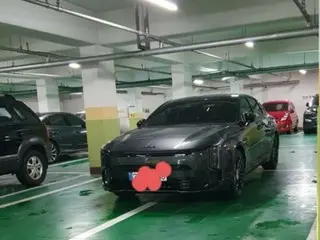 'Main Go'... Satu mobil diparkir di ruang untuk empat mobil, membuat marah netizen = Korea Selatan