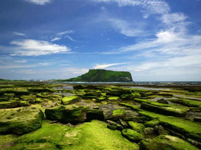 'Hari Lingkungan Hidup Sedunia' akan diadakan di Jeju tahun depan... untuk pertama kalinya dalam 28 tahun