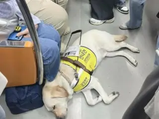 Seekor anjing pemandu tertidur lelah di kereta bawah tanah yang penuh sesak... Sambutan hangat dari penumpang menjadi topik hangat - laporan Korea Selatan