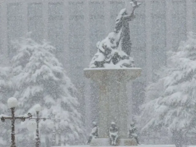 Salju pertama turun di Korea Selatan = Ahli meteorologi Korea Selatan yang dengan tepat memperkirakan gelombang panas musim panas ini meramalkan cuaca dingin yang parah di musim dingin ini