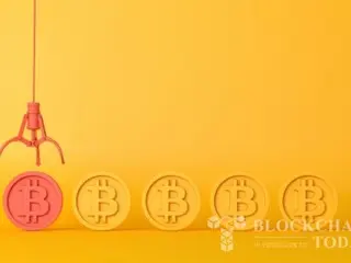 Van Eck: “AS menimbun Bitcoin sebagai aset cadangan strategis akan mengurangi utang negara”