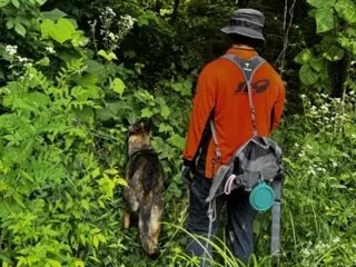 119 anjing penyelamat dikirim 688 kali tahun lalu dan membantu menyelamatkan 27 orang = Korea Selatan