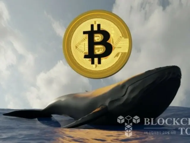 Paus Bitcoin membeli 34,000 BTC selama pasar koreksi baru-baru ini