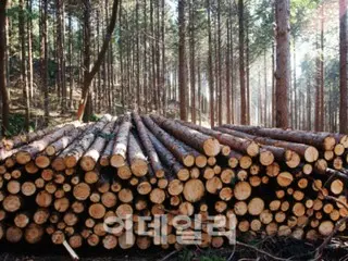 Sumber daya hutan yang sebelumnya dibuang dapat digunakan untuk mencapai netralitas karbon – laporan Korea Selatan