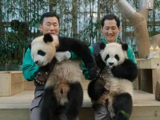 "My Dear Fu Bao", sebuah film tentang cinta dan keajaiban 1.354 hari antara kelahiran seekor panda bernama Fu Bao dan pengasuhnya di Korea, akan dirilis di bioskop pada tanggal 18 April.