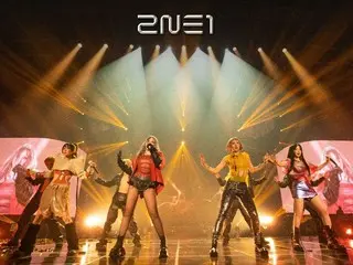 Reservasi Tiket Awal Konser Encore 2NE1 Seoul Mulai Dijual Hari Ini (5)... Final Tur Asia