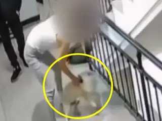 Pasangan Korea Selatan diselidiki karena melempar anjing peliharaan dari lantai dua di depan putranya yang berusia 10 tahun