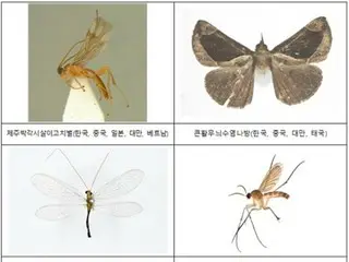 Proporsi serangga subtropis di antara spesies baru dan yang sebelumnya tidak tercatat yang ditemukan di Korea Selatan meningkat (Korea Selatan)