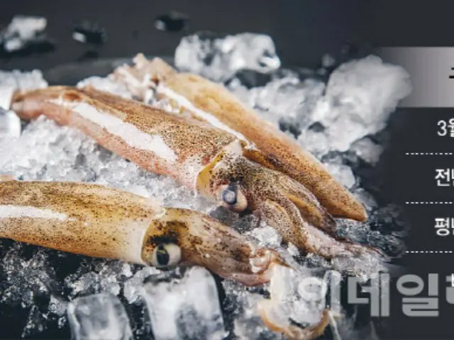 Perubahan iklim akan menyebabkan harga makanan laut melonjak... "Cumi-cumi mungkin punah pada tahun 2050" = laporan Korea Selatan