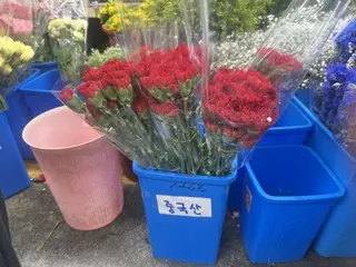 Anyelir Cina, hadiah "pembelian kelompok"... Pemandangan bulan Mei yang lahir dari harga tinggi = Korea