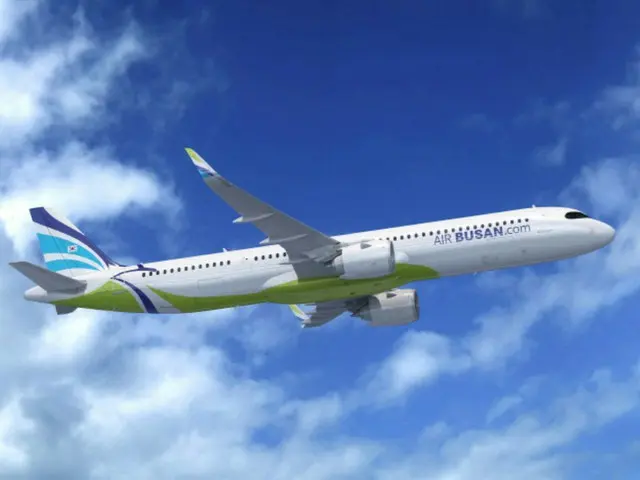 Pesawat Air Busan berbalik arah setelah menabrak burung tak lama setelah lepas landas dari Bandara Gimhae