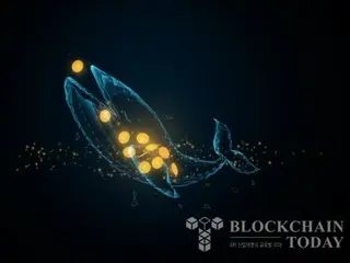 Hyper Liquid Whale Beralih dari Posisi Long ke Short Bitcoin Senilai $1 Miliar