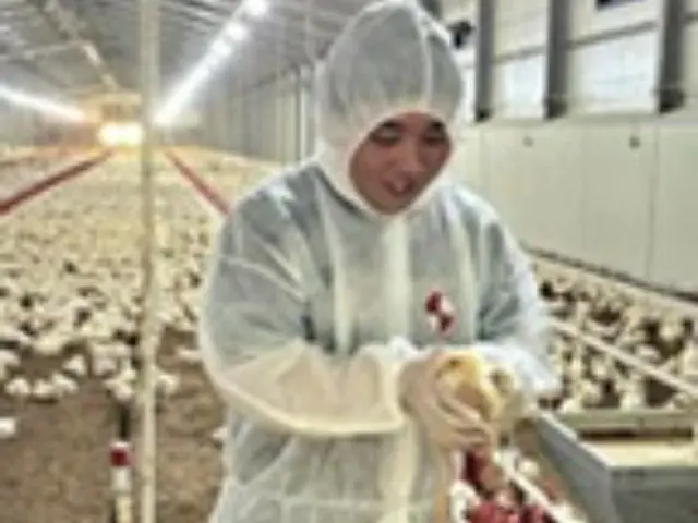 Lotte Mart mulai beternak ayam untuk memastikan pasokan pangan aman - Korea Selatan