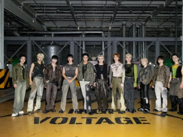 "SEVENTEEN" menghapus komentar jahat dari akarnya...Meminta pengungkapan ke pengadilan AS