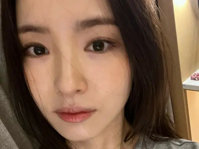Apa sih yang dia tulis? ... Seorang wanita berusia 30-an yang memposting ratusan komentar jahat tentang aktris Sin Se Gyeong berakhir di penjara