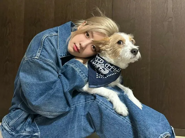 Rosé "BLACKPINK" mengungkap kehidupan sehari-harinya dengan anjing peliharaannya... Pesona yang menyegarkan