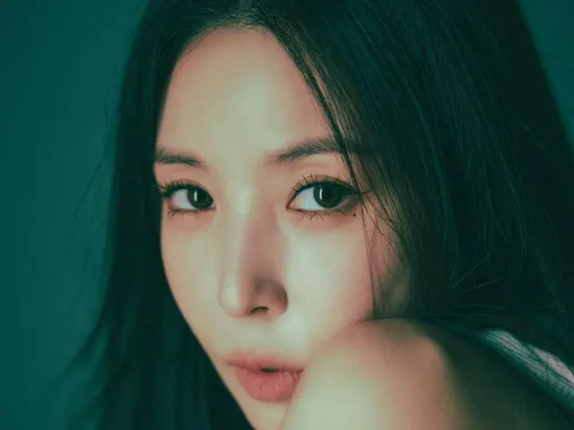 BoA memulai kembali Instagram... Konser "BoA One's Own 2024" akan diadakan pada tanggal 12 dan 13