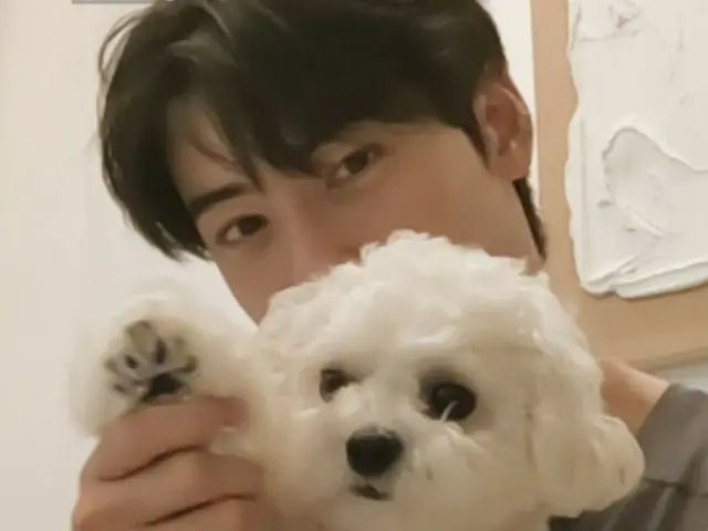 "ASTRO" Cha Eun Woo menjalani masa penyembuhan dengan anjing kesayangannya... "Aku ingin menjadi anak anjing" (dengan video)