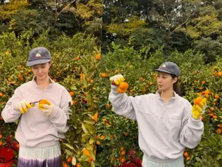 Kwon Yuri tinggal di dua lokasi: Pulau Jeju dan Seoul... Memanen jeruk mandarin hari ini "Saya seorang petani muda"